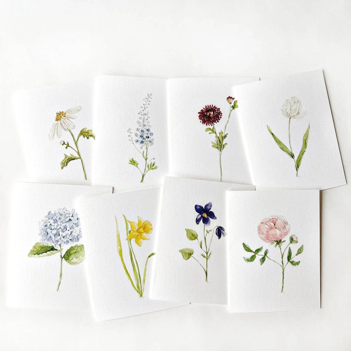 Set of greeting cards with floral illustrations on a white background