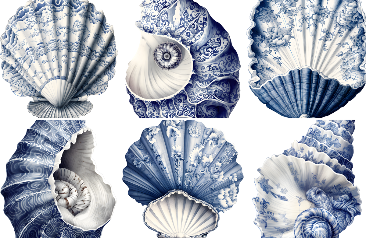 Decorative blue and white shell illustrations on a white background