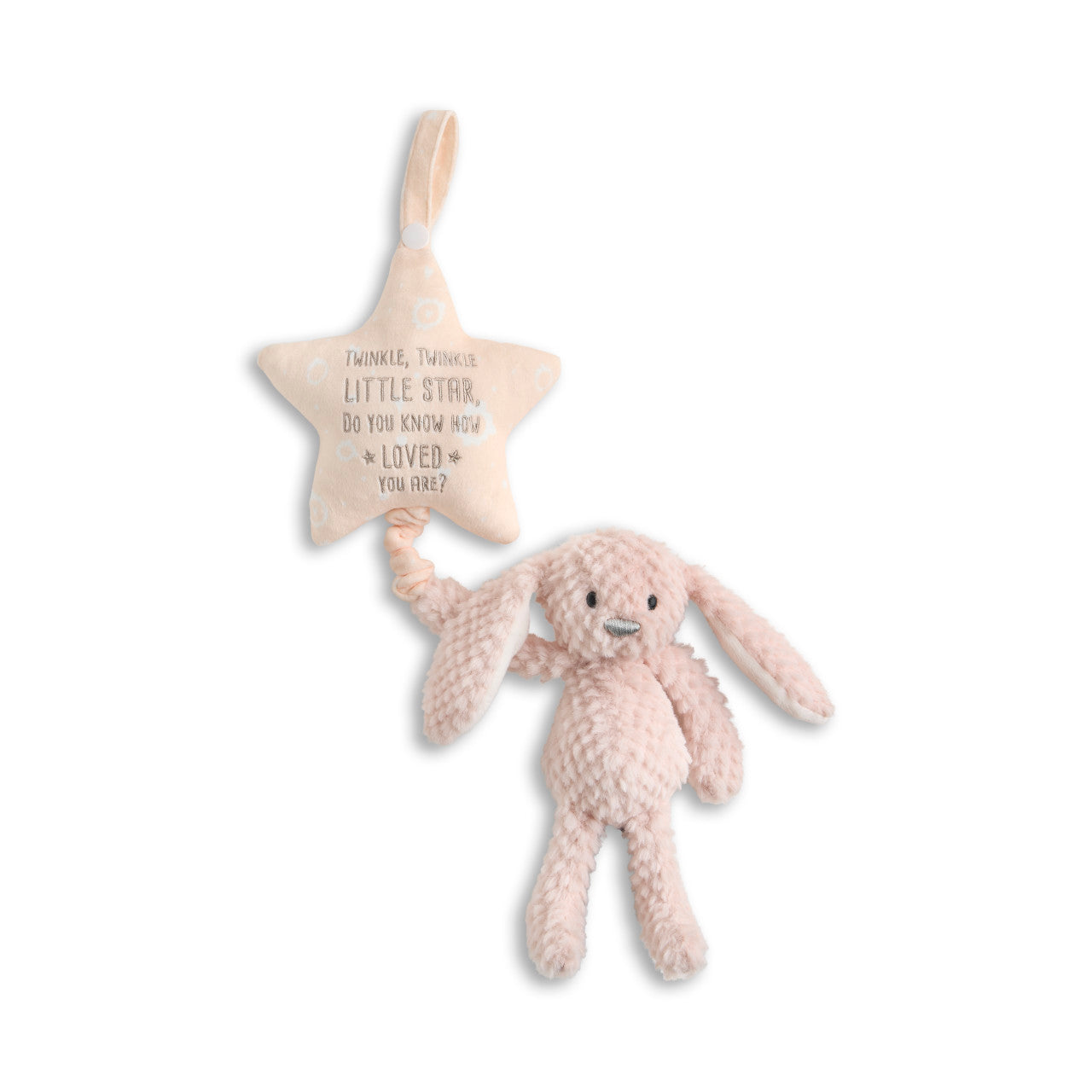 Musical Pull Toy - Bunny