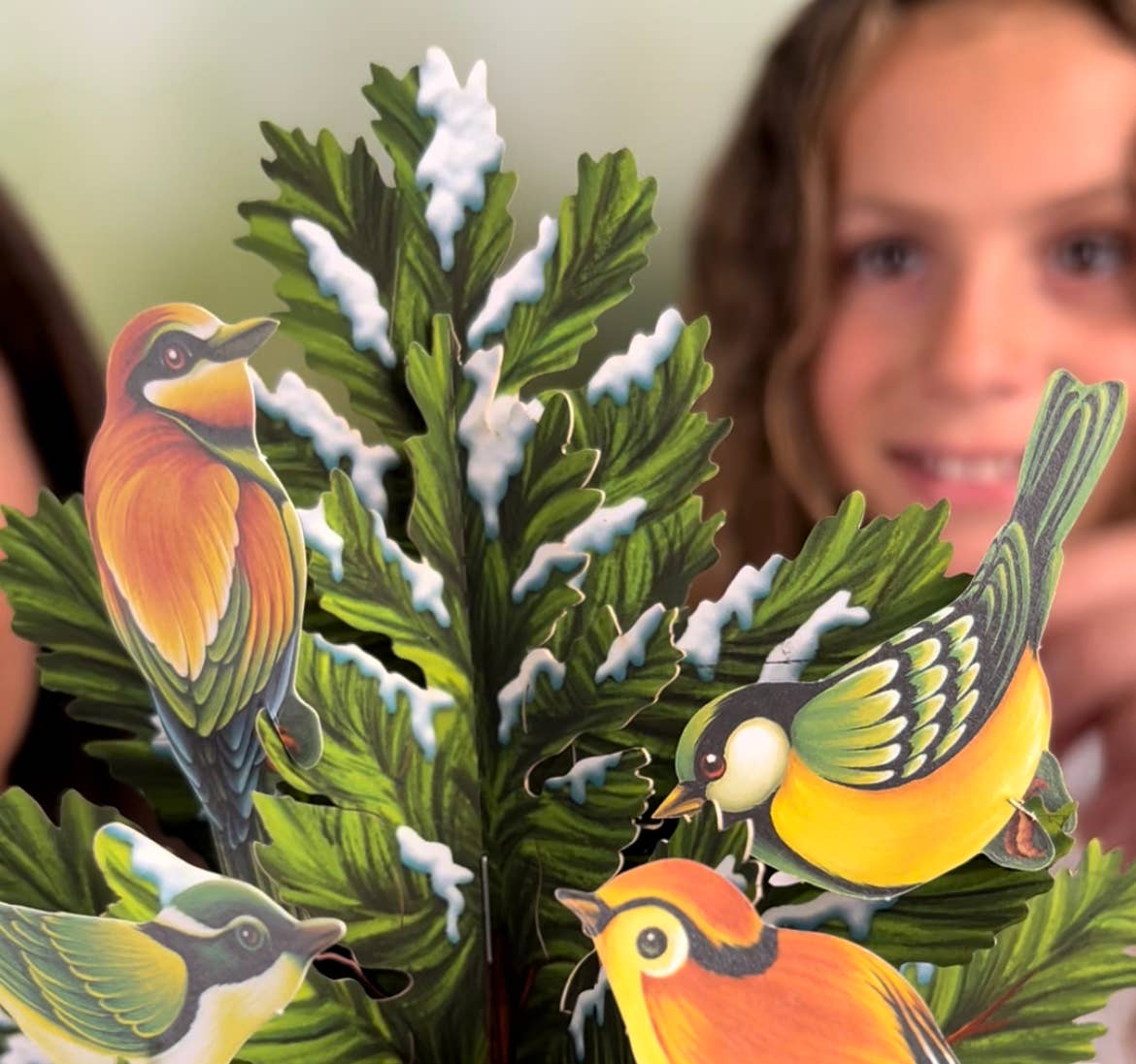 Pop-up card with birds on a branch held by a person