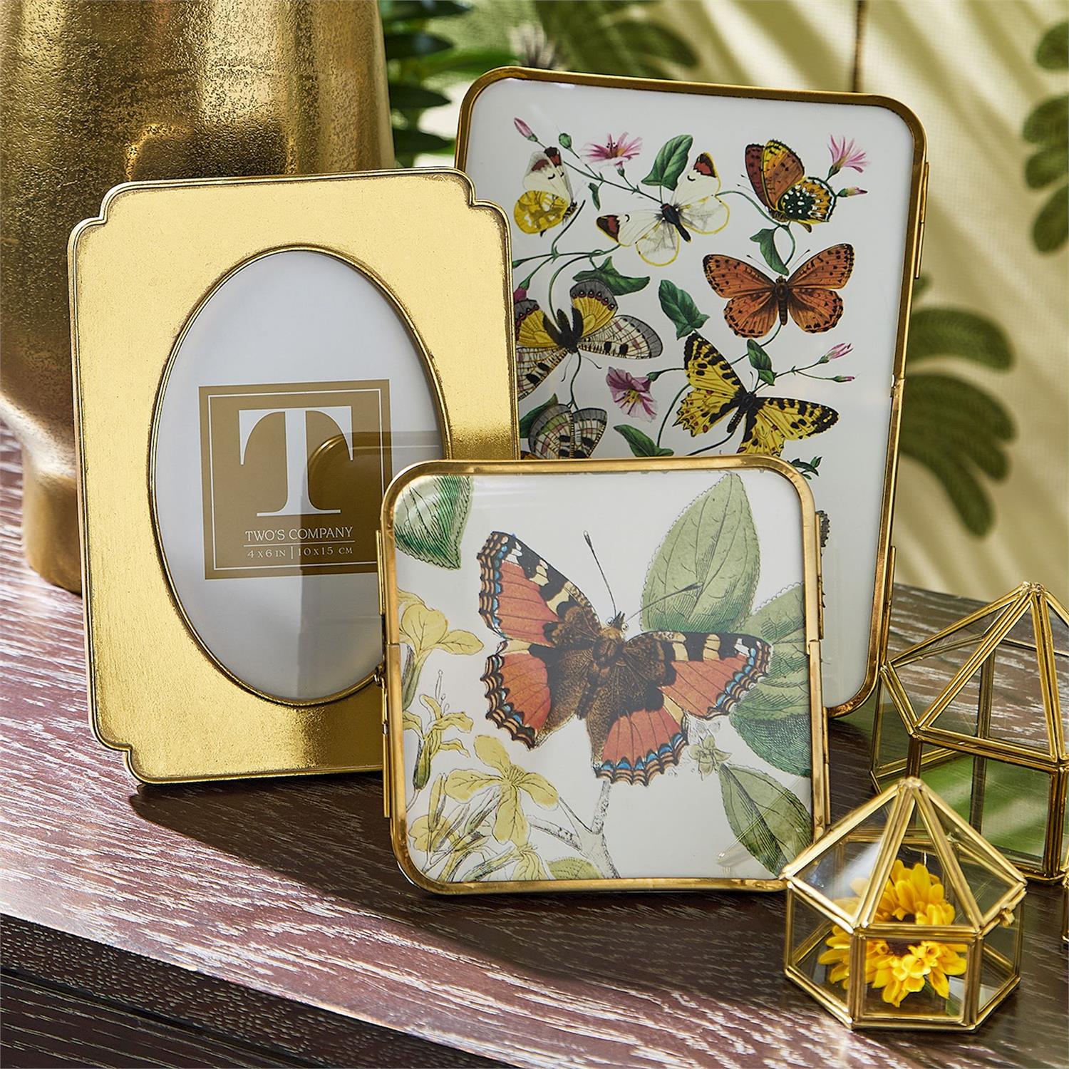Decorative photo frames with butterfly designs on a wooden surface.