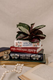 Steel Mill brand 3 stack book decorative vase/planter with Jane Austen titles on each one, withn a plant on a neutral background