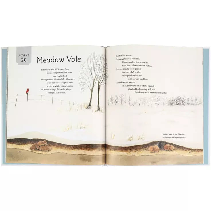 Children - Book - All Creation Waits