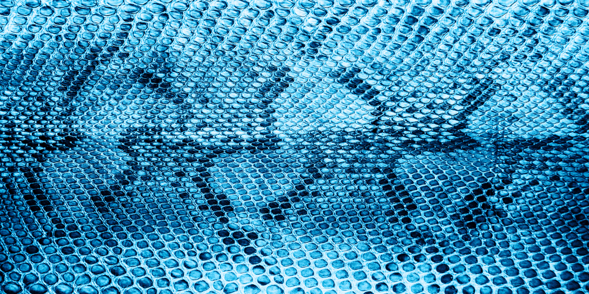 Close-up of blue textured snake pattern  
