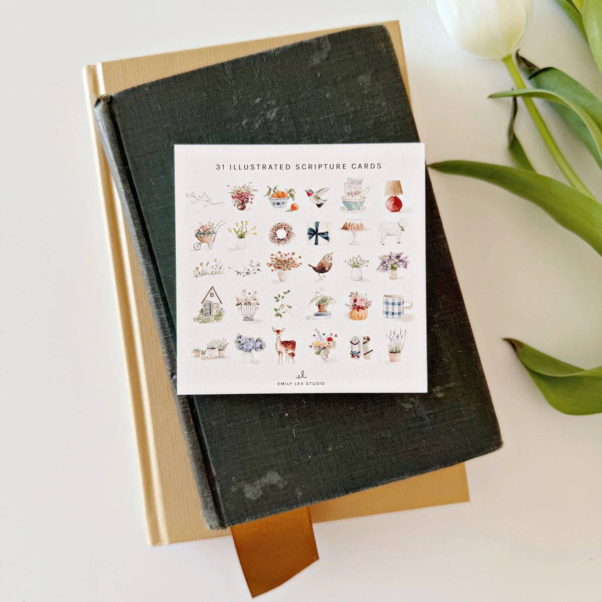 Illustrated scripture cards on top, on a light surface with green leaves.