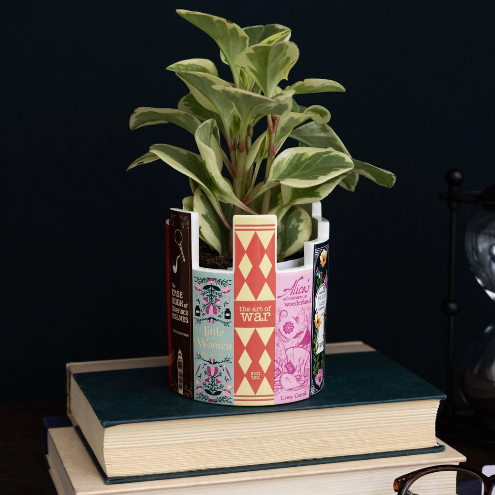Potted plant in a book-shaped pot on top of books with a dark background