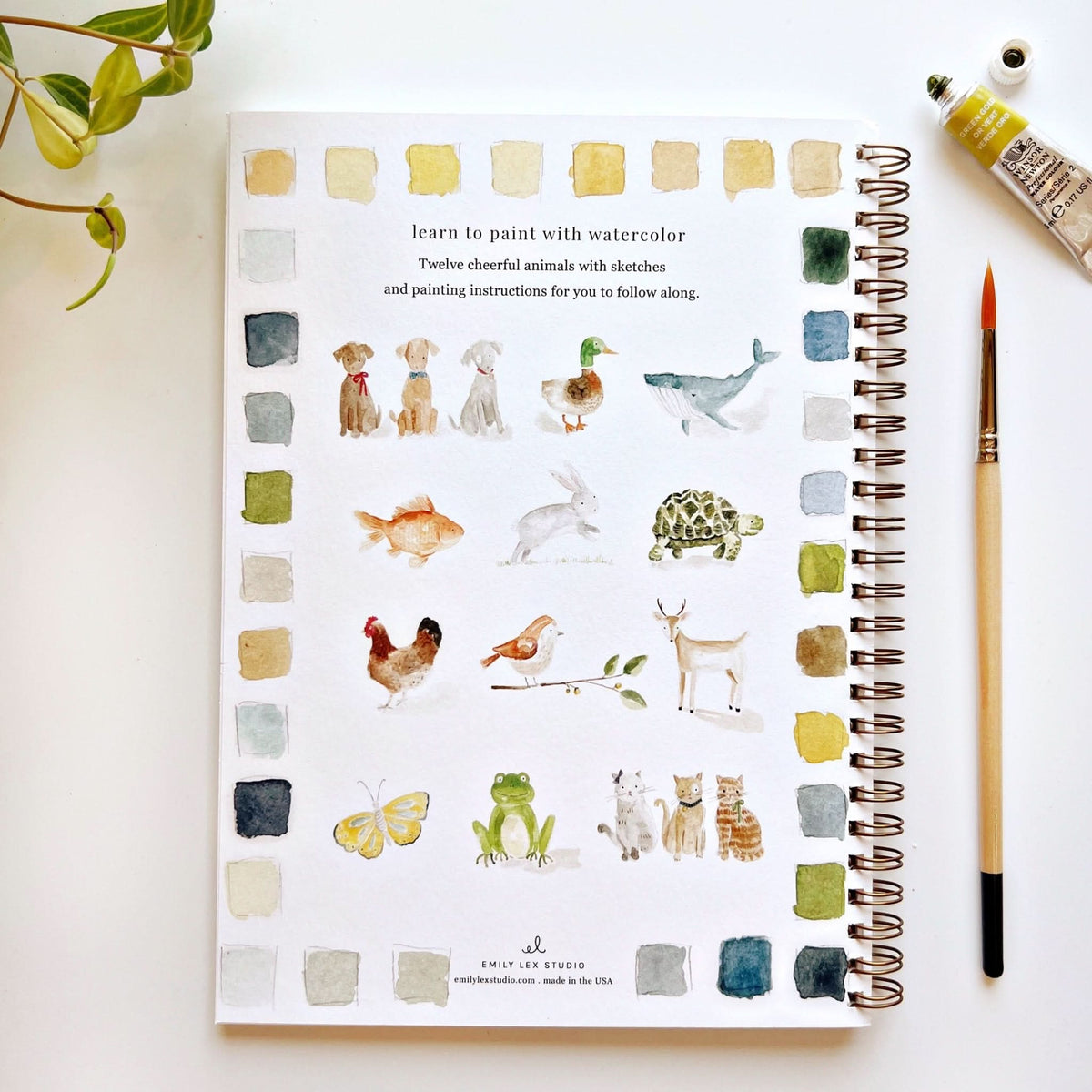 Art book with watercolor illustrations of animals on a white surface with a paintbrush and paint tube.