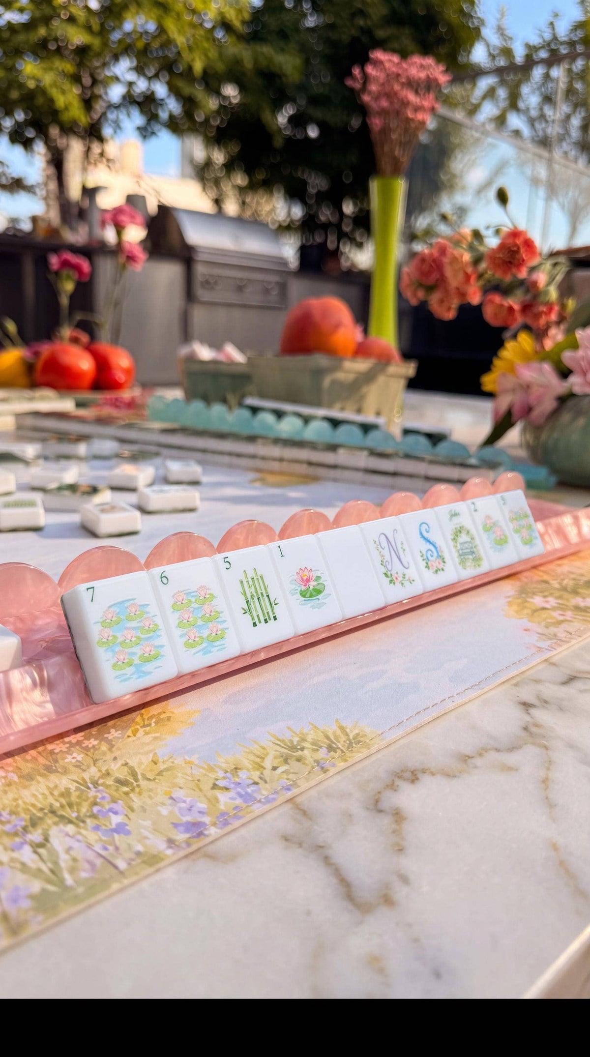 Garden-Inspired Acrylic Mahjong Tile Set - A Morning in Giverny, 160 Tiles
