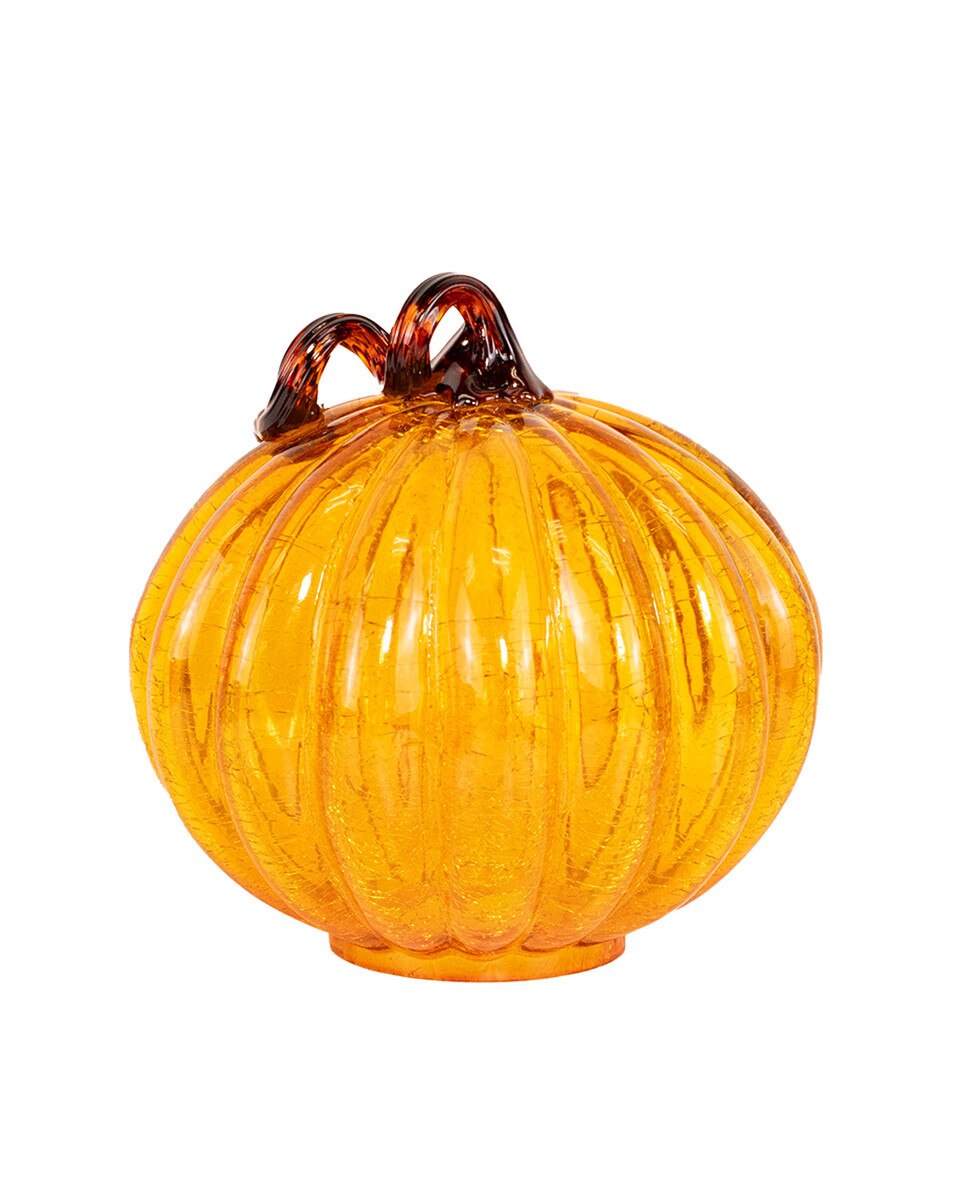 Transparent orange pumpkin with brown stem on a white background