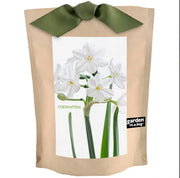Kraft paper bag with a green ribbon and image of paperwhites on a white background