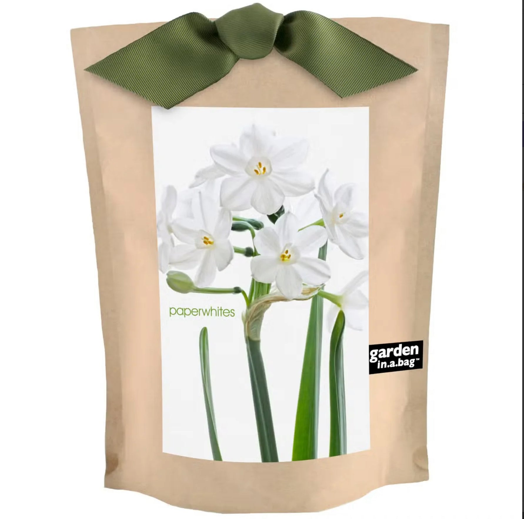 Kraft paper bag with a green ribbon and image of paperwhites on a white background