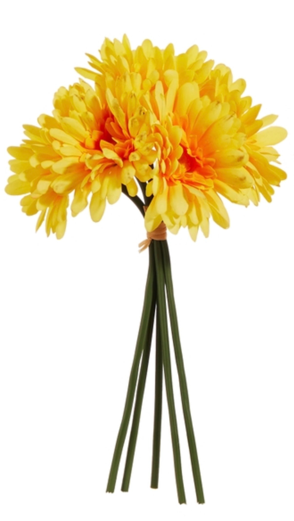 Floral - Gerber Daisy Bundle - Yellow - 12”