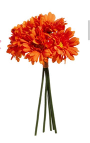 Floral - Gerber Daisy Bundle - Orange - 12”