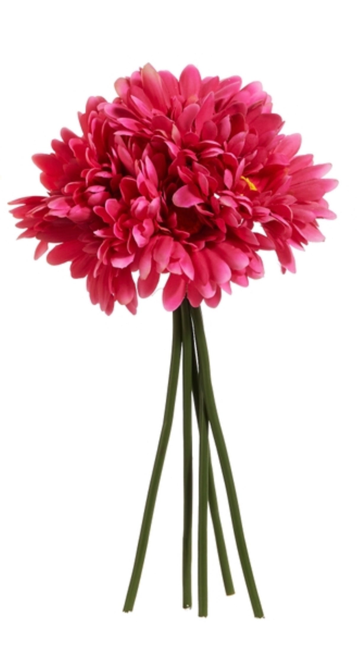 Floral - Gerber Daisy Bundle - Pink - 12”
