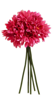 Floral - Gerber Daisy Bundle - Pink - 12”