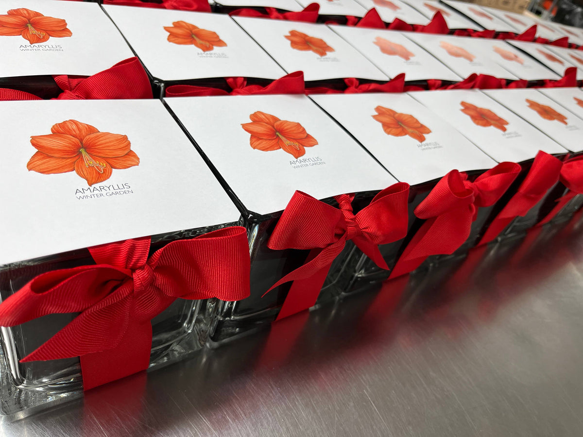 Row of gift boxes with red ribbons on a reflective surface