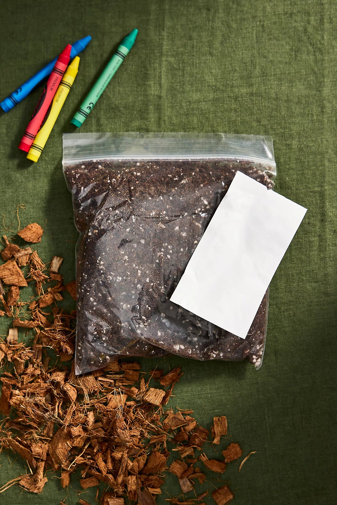Clear plastic bag with soil and a white piece of paper on a green textured surface with scattered brown material and colorful crayons.