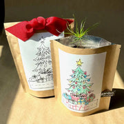 Two garden-in-a-bag products with Christmas tree designs on the packaging.