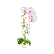 Home - Acrylic Flower - Pink Stripe Orchid - Small