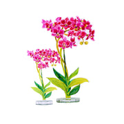 Home - Acrylic Flower - Aphrodite Orchid - Large