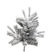 Frosted Christmas tree branch on a white background