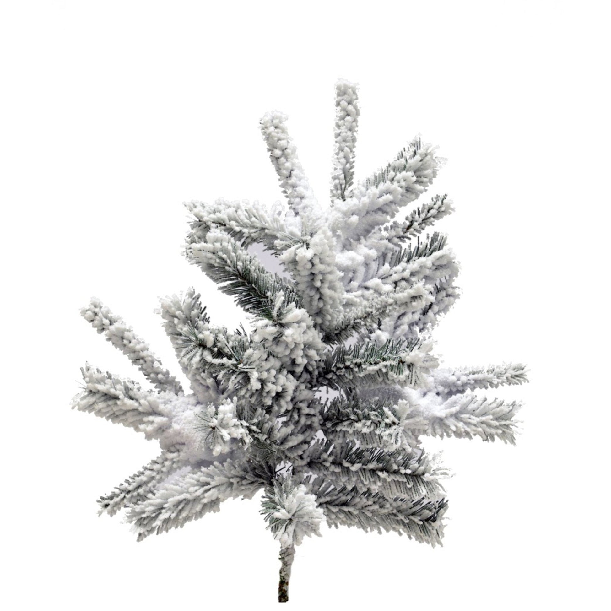 Frosted Christmas tree branch on a white background