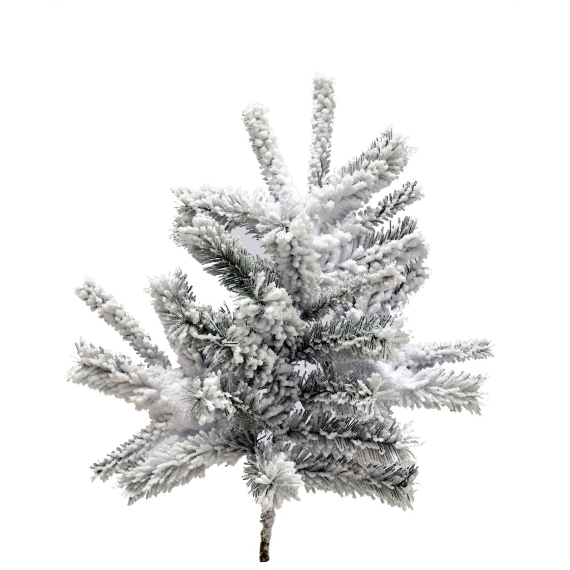 Frosted Christmas tree branch on a white background