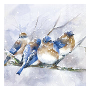 Seasonal - Napkins - Cocktail - Cuddly Birdies - Blue
