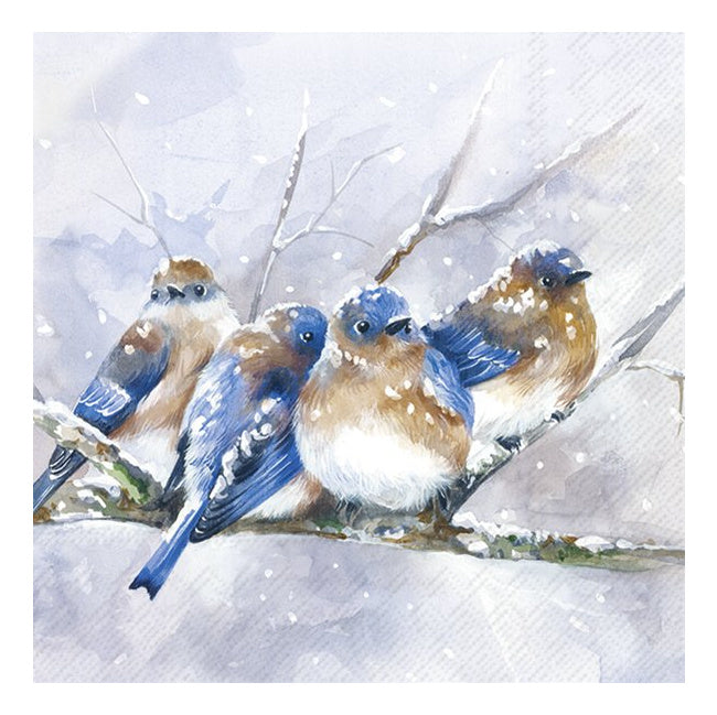 Seasonal - Napkins - Cocktail - Cuddly Birdies - Blue