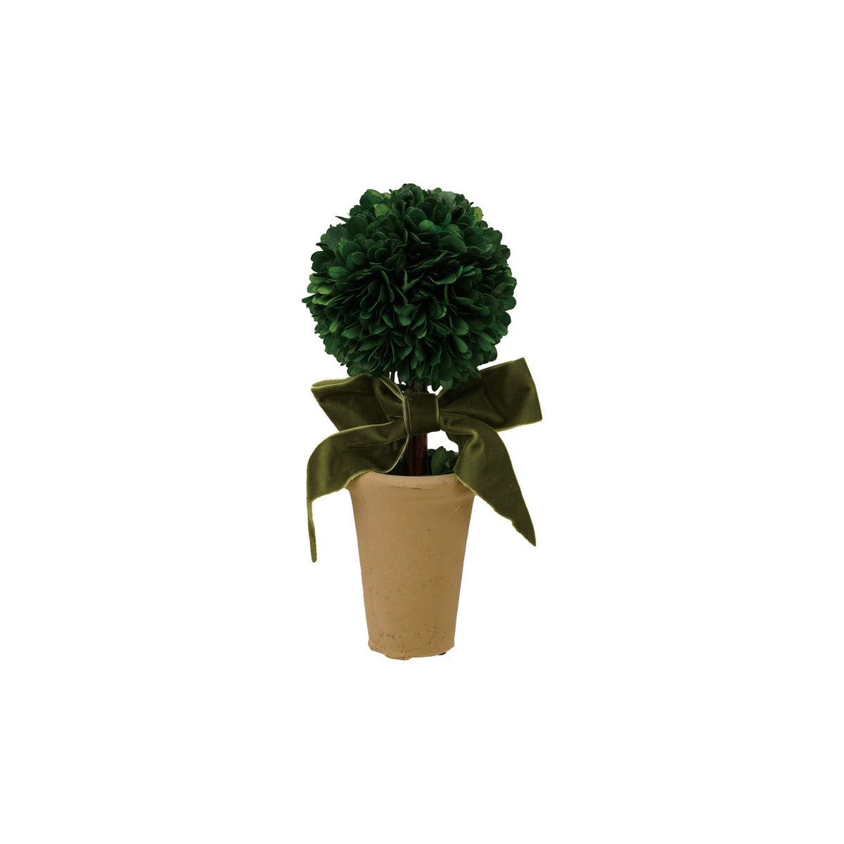 Preserved Boxwood Topiary in Terra-Cotta Pot with Green Bow