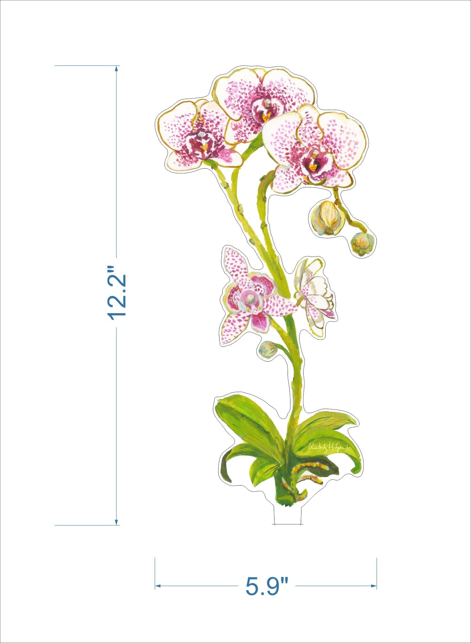 Home - Acrylic Flower - Moon Orchid - Large
