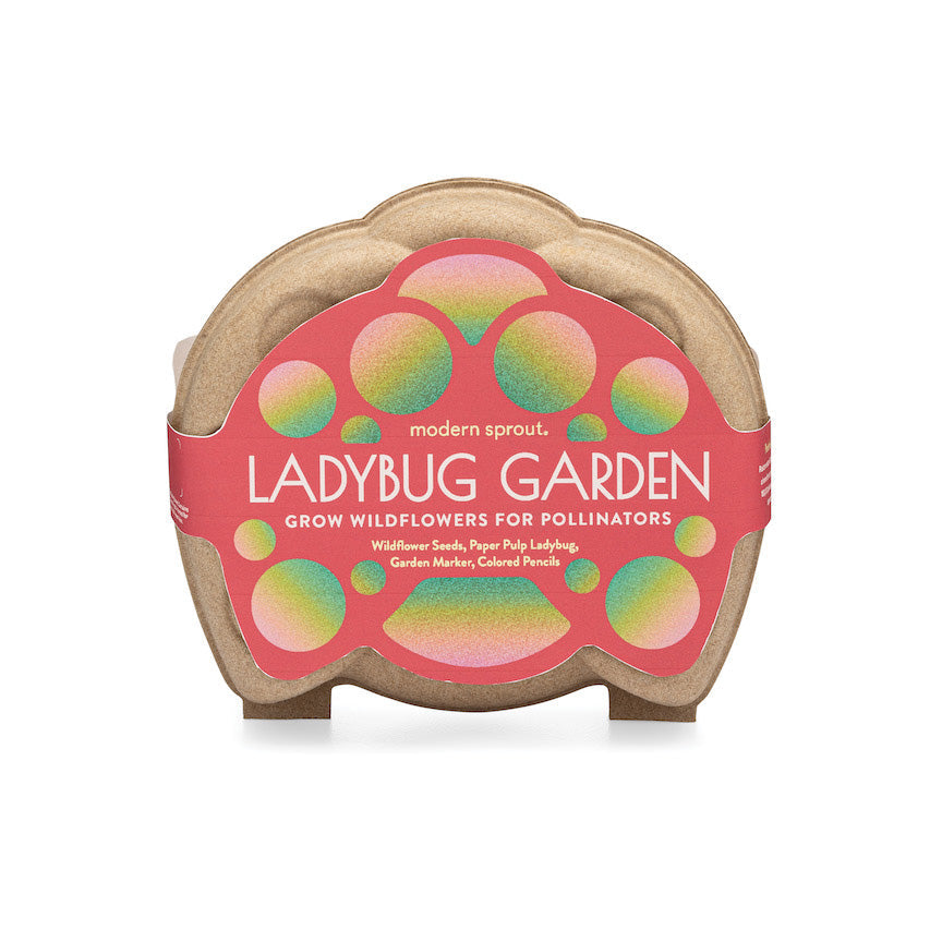 Children - Garden Activity Kit - Ladybug