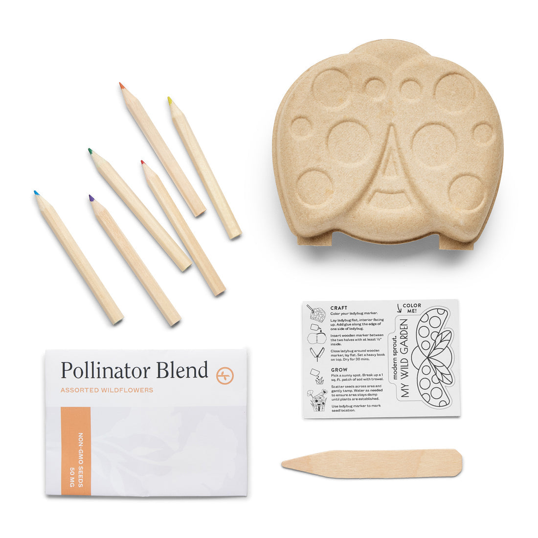 Children - Garden Activity Kit - Ladybug