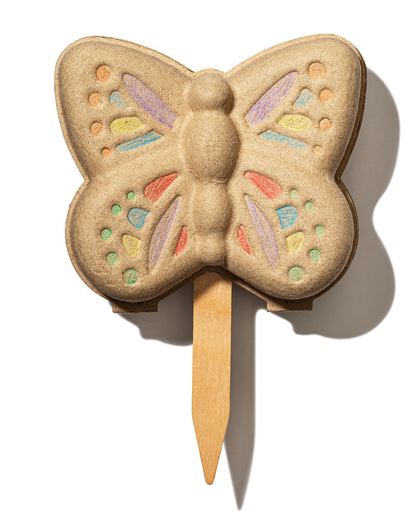Children - Garden Activity Kit - Butterfly