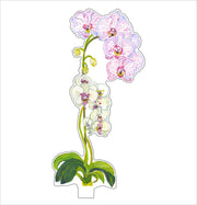 Pink Stripe Orchid Acrylic Flower – Large