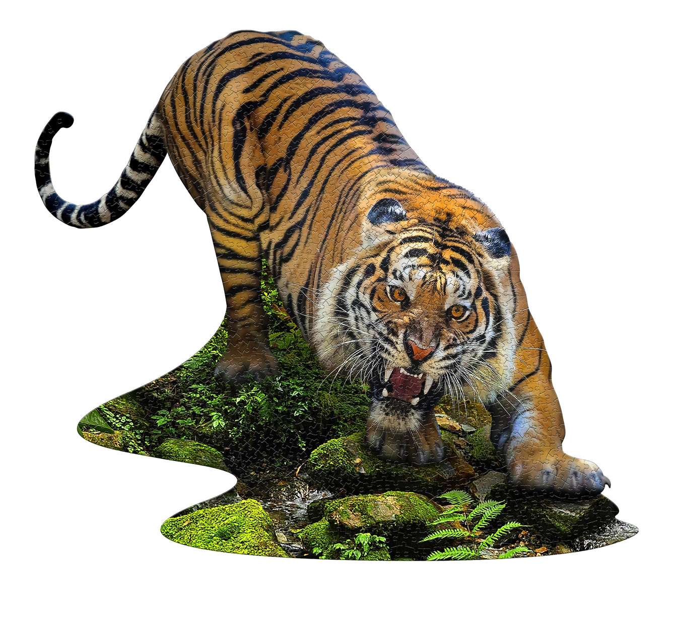 Puzzle - I Am Tiger - 1000 pieces