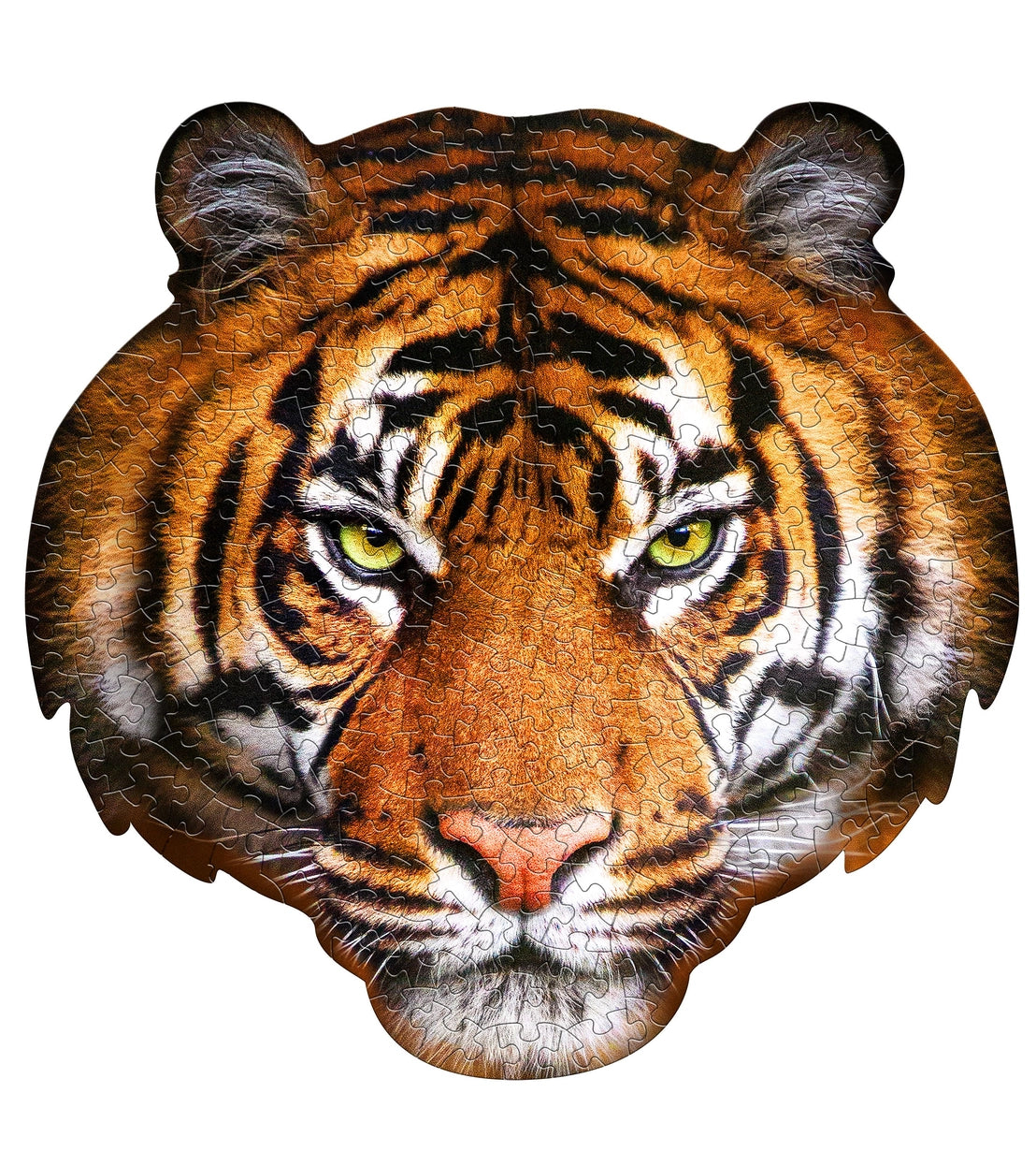 Puzzle - I Am Tiger - 300 pieces