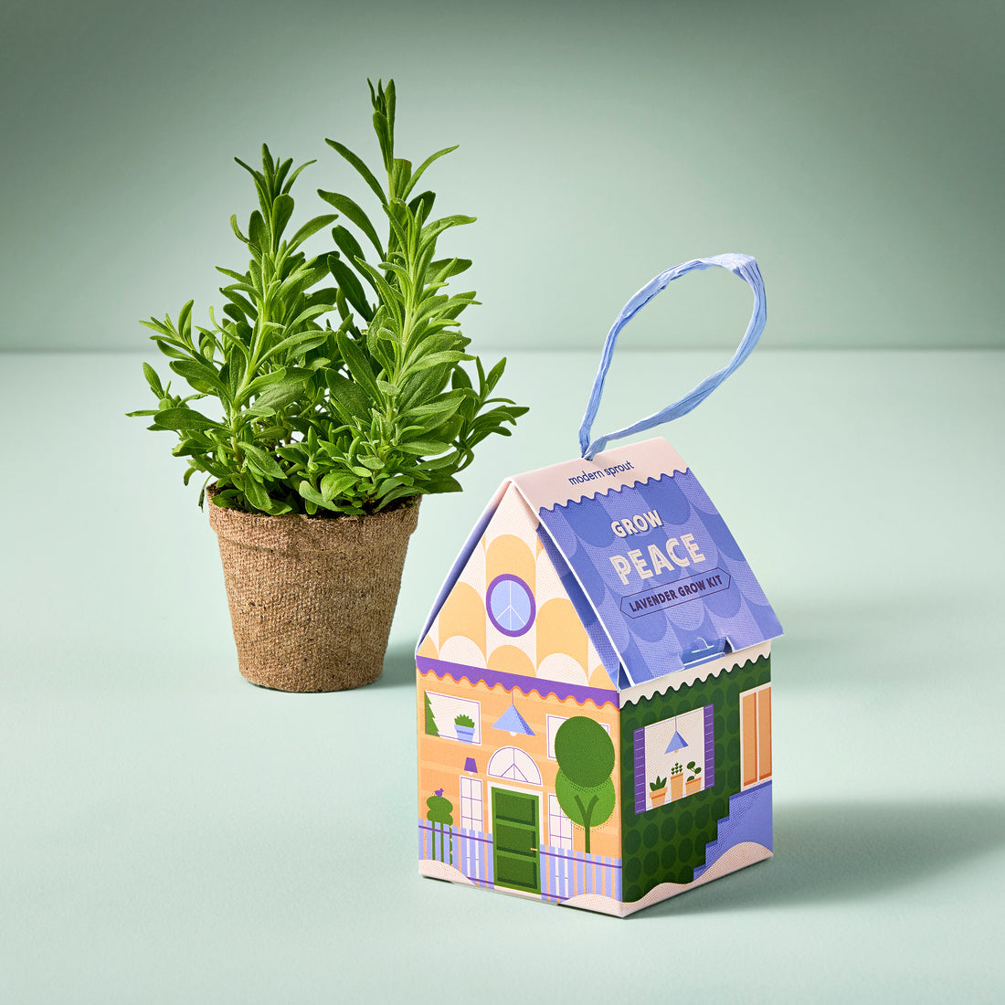 Seasonal - cardboard Ornament - Home Grown - Grow Peace - Lavender box in house shape. Plant placed behind it. 