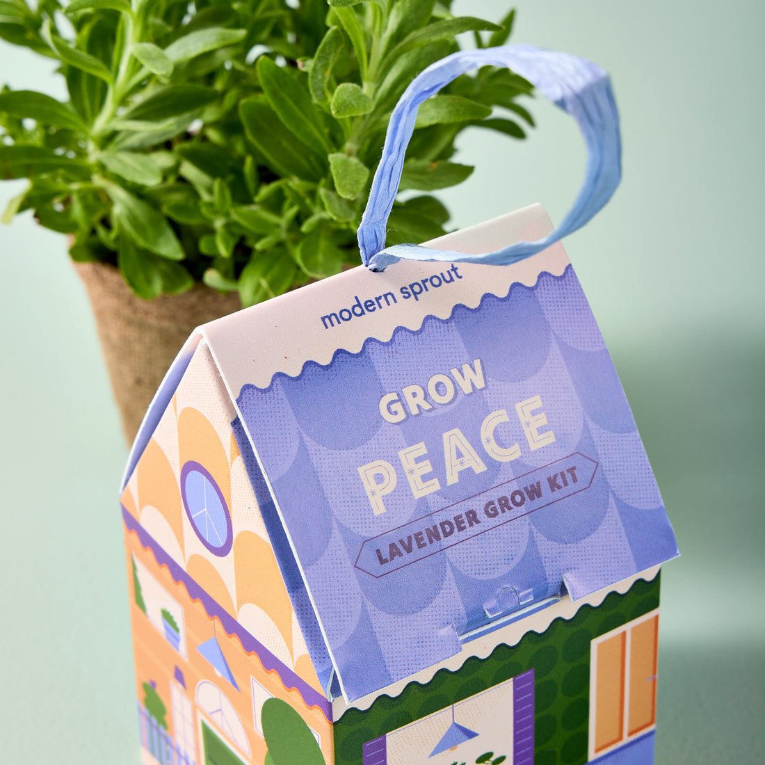 Seasonal - cardboard Ornament - Home Grown - Grow Peace - Lavender box in house shape. Plant behind the ornament 