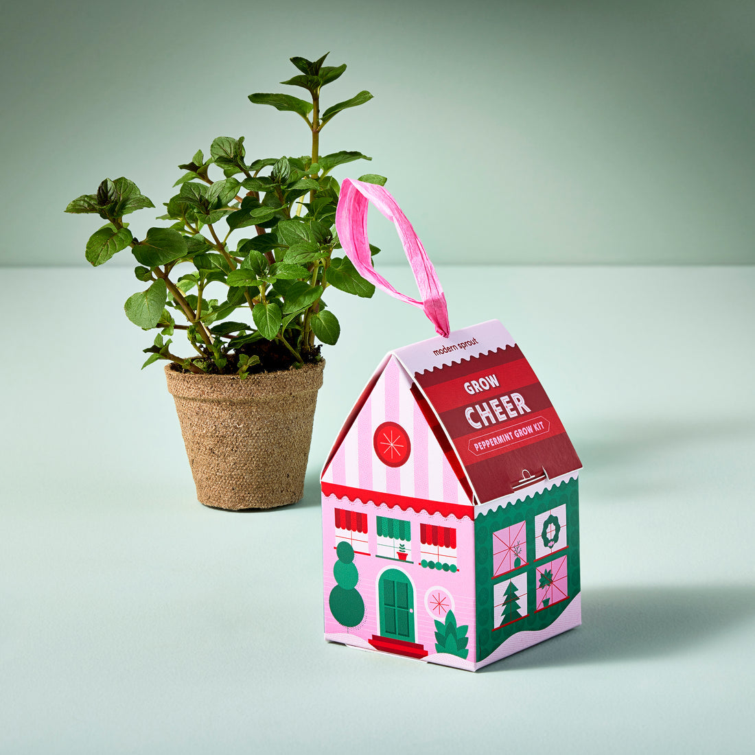 Seasonal - cardboard Ornament - Home Grown - Grow Cheer - Peppermint box with plant behind it 