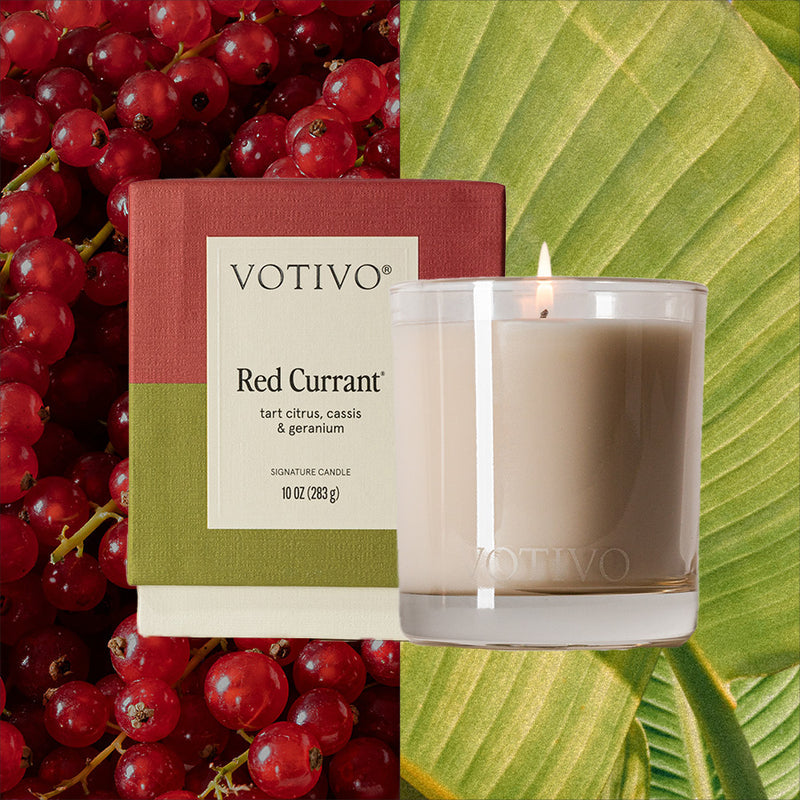 Votivo Red Currant candle with packaging and red currants on a green leaf background