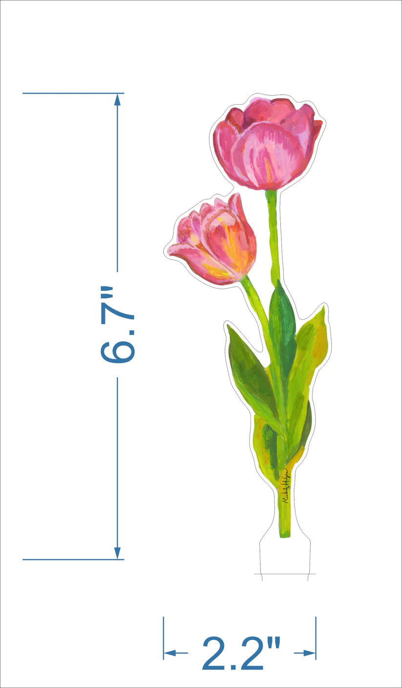 Illustration of two pink tulips with measurements on a white background