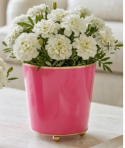 Cachepot - 6" Fuschia Round