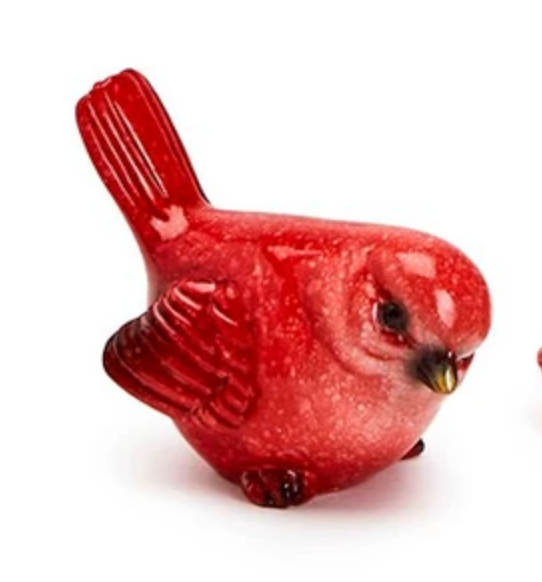 red cardinal with black eyes on white backround