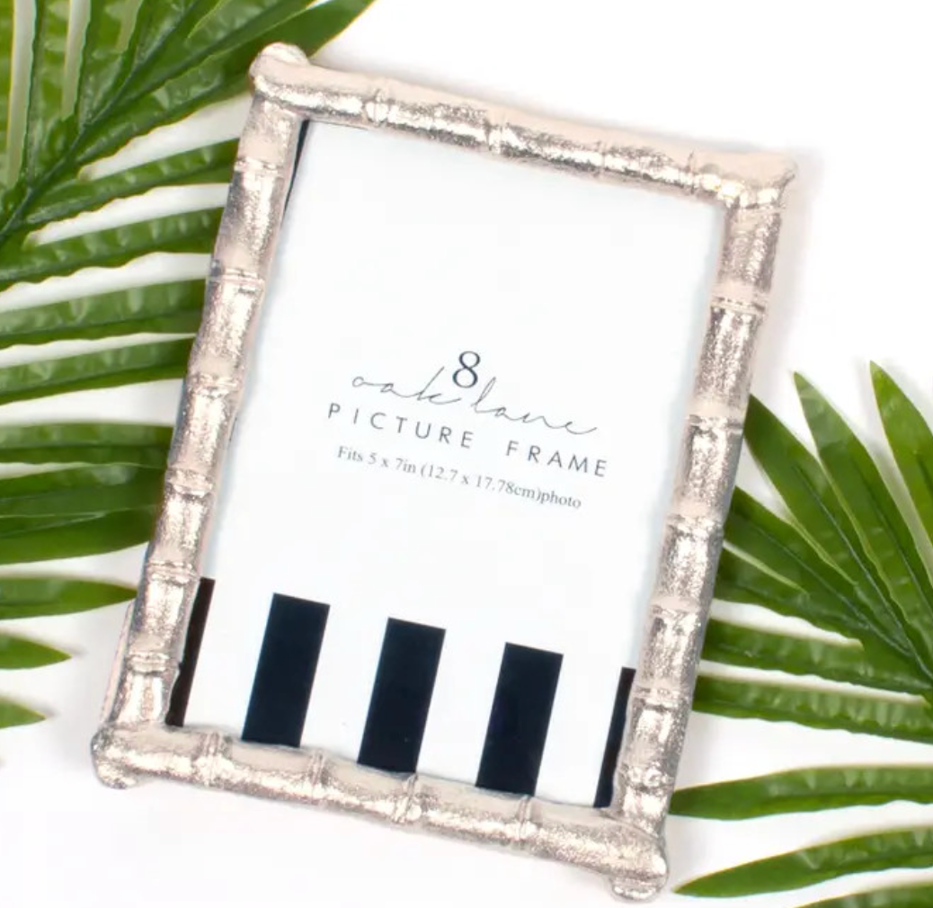 8 Oak Lane 5 x 7" Silver picture frame with black and white stripe on the picture insert on a white background with green leaves ith white background