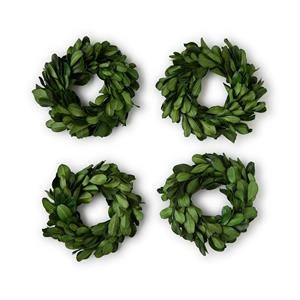 Four small green wreaths on a white background