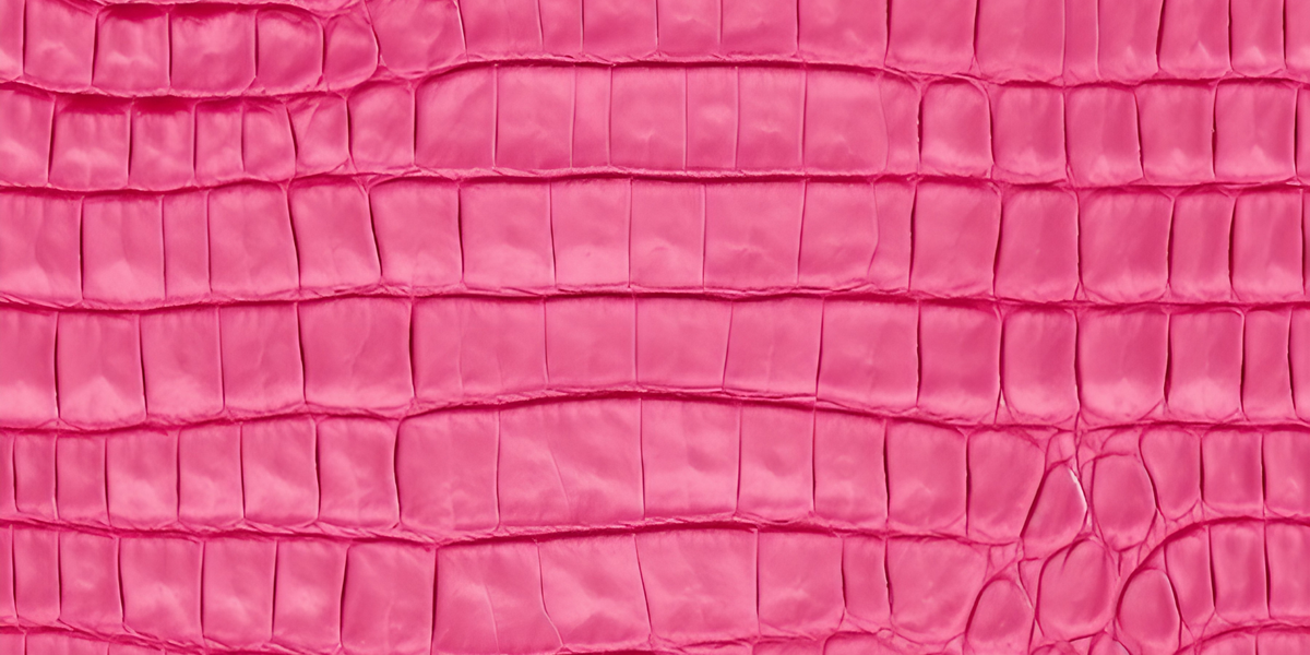 Close-up of pink crocodile leather texture