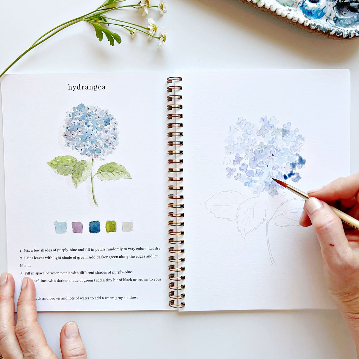 Person painting hydrangeas in a sketchbook with a paintbrush