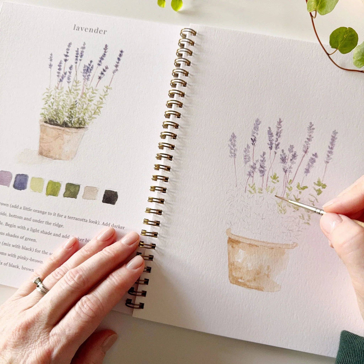 Person drawing a potted plant in a sketchbook with a focus on color and detail.