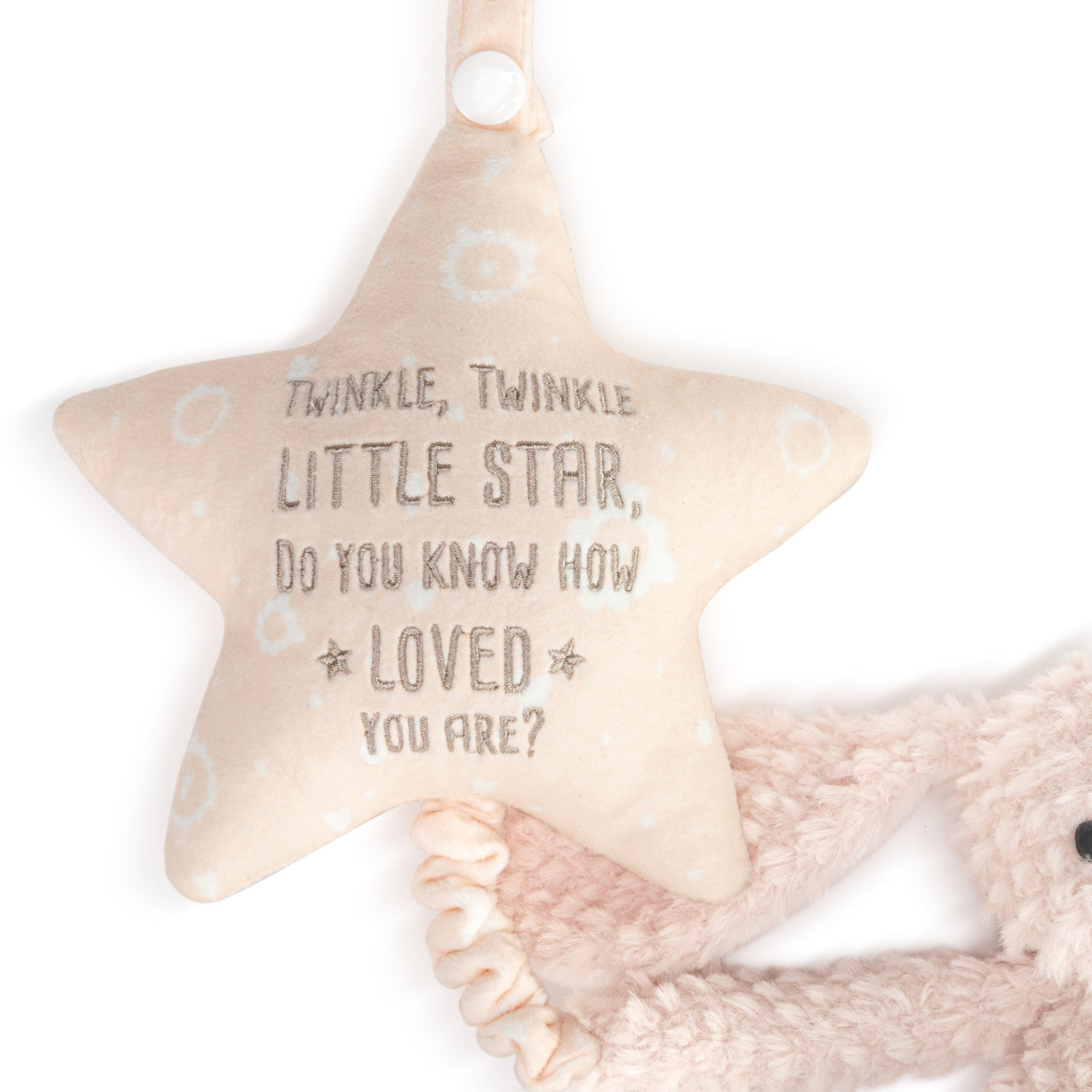 Musical Pull Toy - Bunny